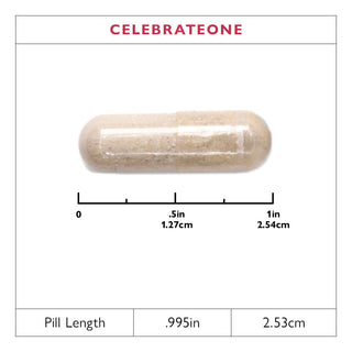 CelebrateONE Bariatric One A Day Capsules Multivitamin, Fer Gratuit 